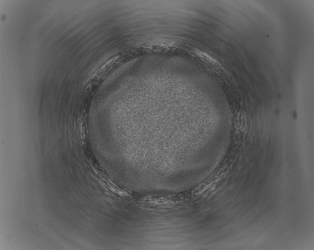 X0000073520774200608211804