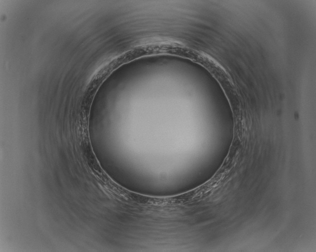 X0000073520775200608211803