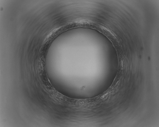 X0000073520776200608211803