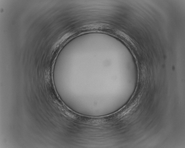 X0000073520778200608211803