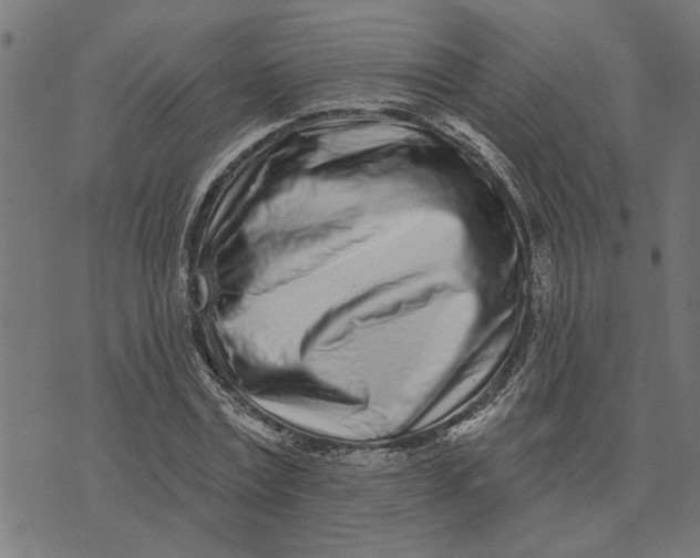 X0000073520779200608211803