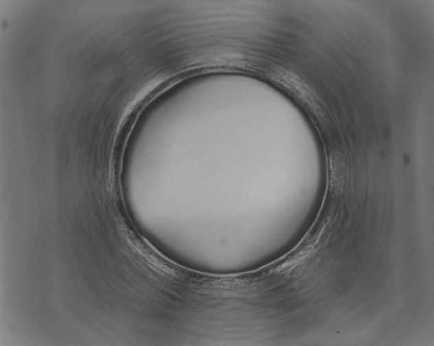 X0000073520780200608211803