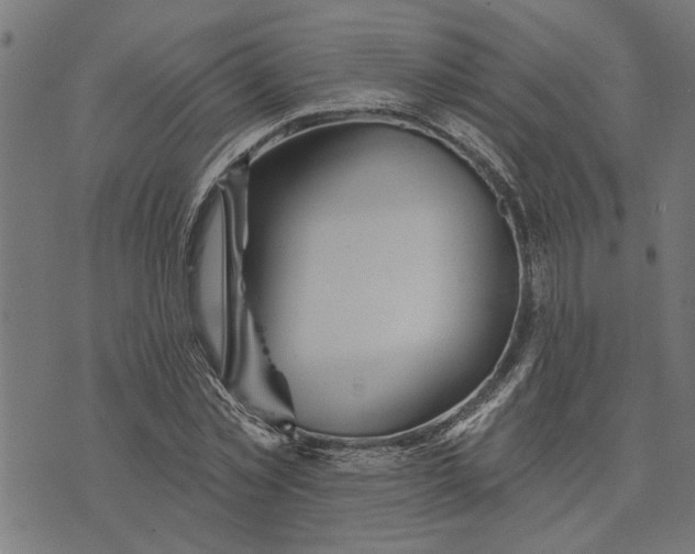 X0000073520781200608211803