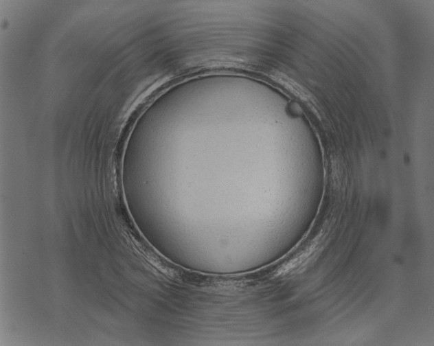 X0000073520782200608211803