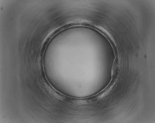 X0000073520783200608211803