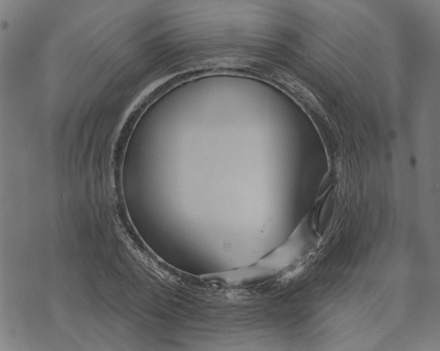 X0000073520784200608211803