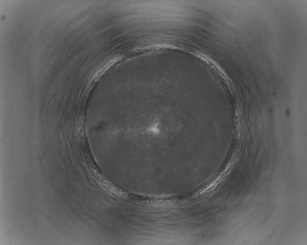 X0000073520785200608211803