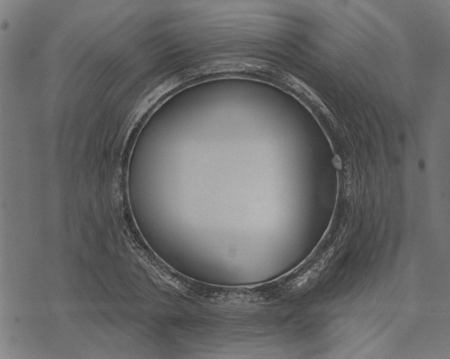 X0000073520786200608211803