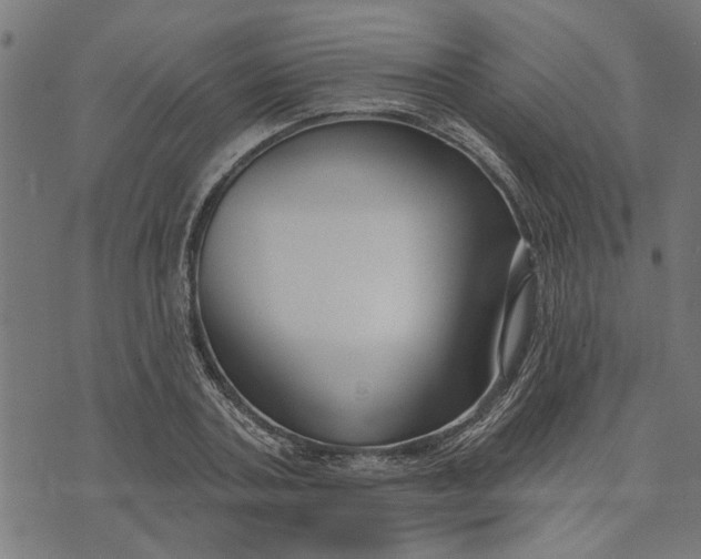 X0000073520787200608211803