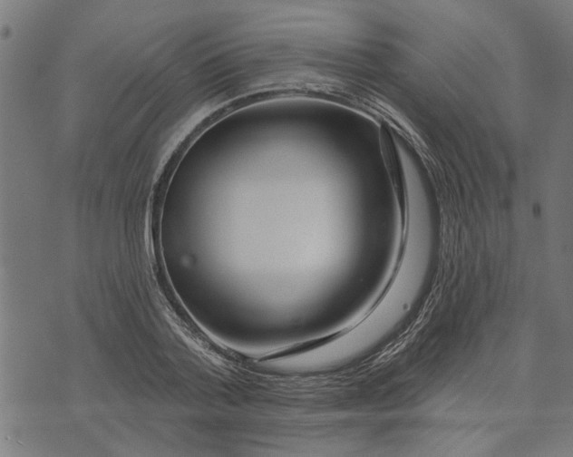 X0000073520788200608211803