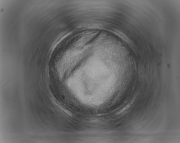 X0000073520790200608211803