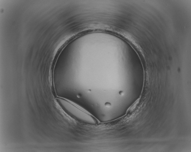 X0000073520791200608211803