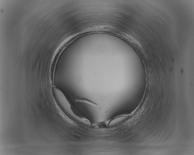 X0000073520792200608211803