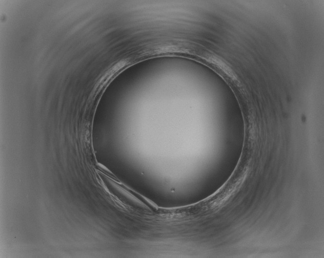 X0000073520793200608211803