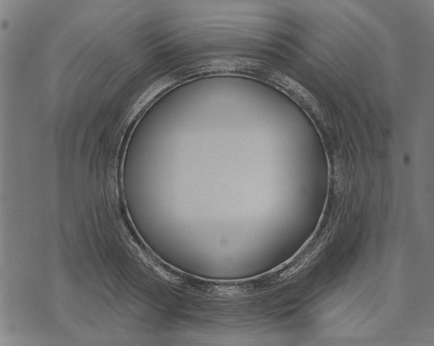 X0000073520794200608211803