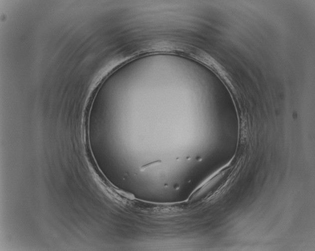 X0000073520795200608211803