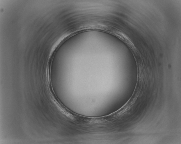 X0000073520796200608211803