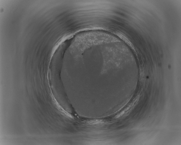 X0000073520797200608211803