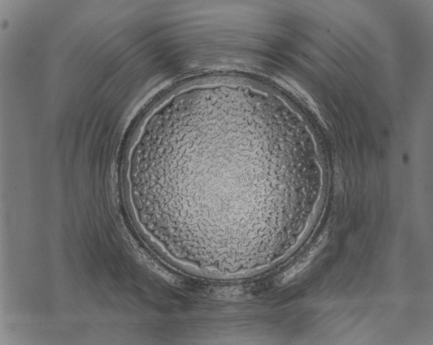 X0000073520798200608211803