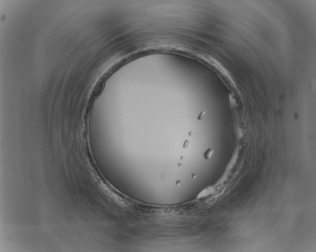 X0000073520799200608211803