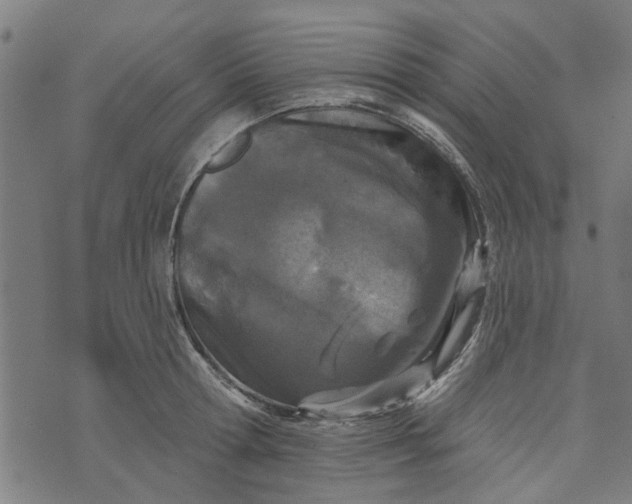 X0000073520802200608211803