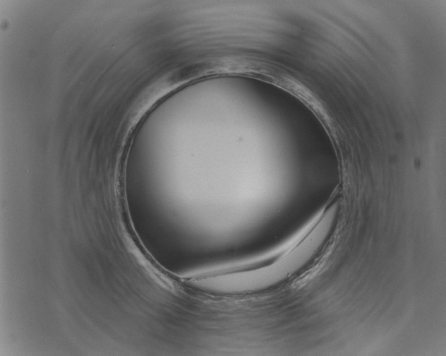 X0000073520803200608211803