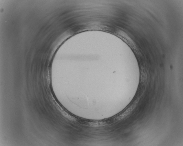 X0000073520804200608211803