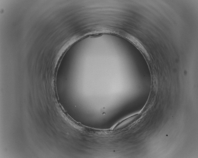 X0000073520805200608211803