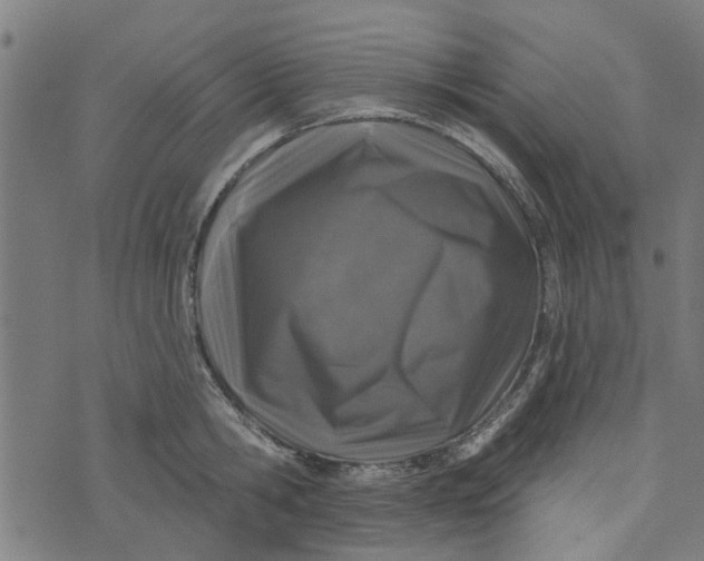 X0000073520806200608211803