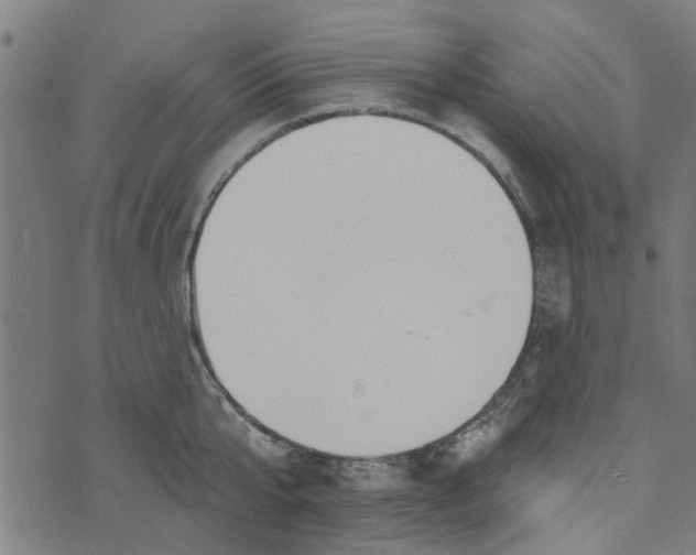 X0000073520807200608211803