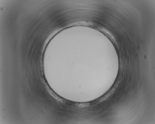 X0000073520808200608211803