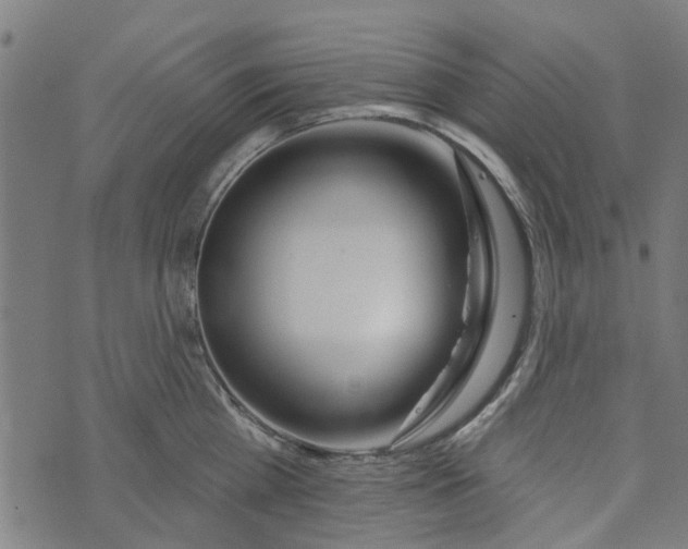 X0000073520809200608211803