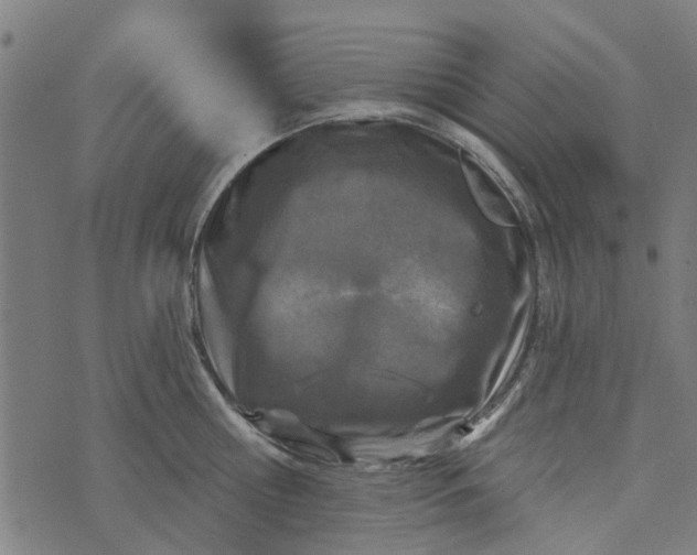 X0000073520810200608211803