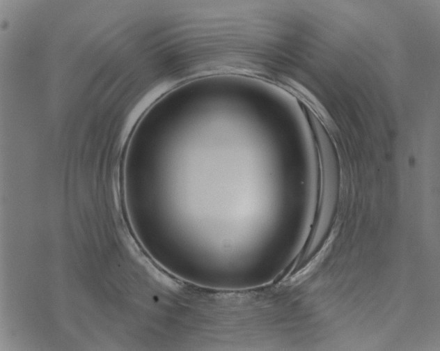 X0000073520812200608211803