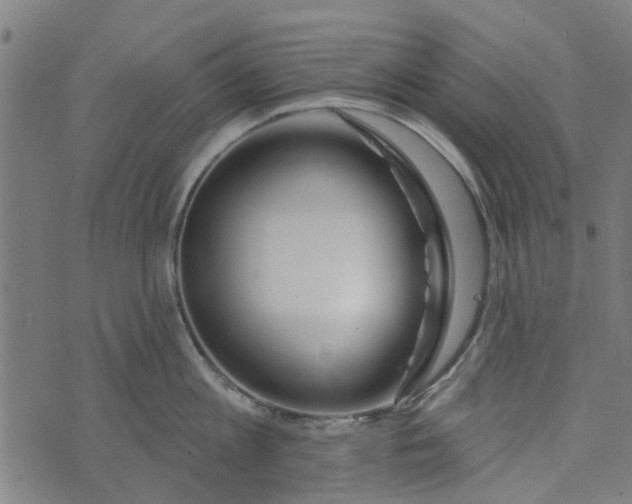 X0000073520813200608211803