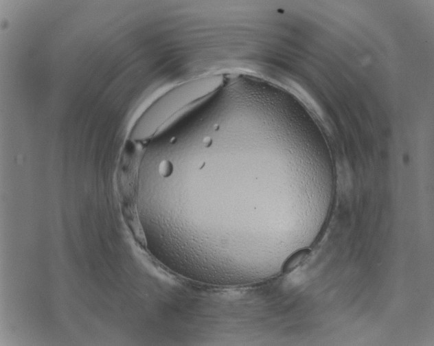 X0000073520814200608211803