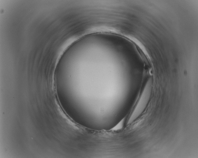 X0000073520815200608211803