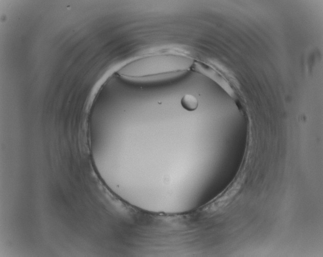 X0000073520816200608211803