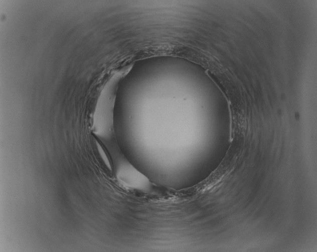 X0000073520818200608211802