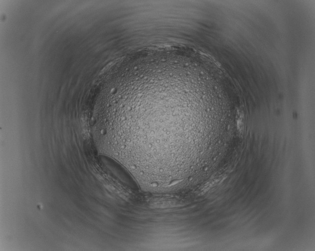 X0000073520819200608211802