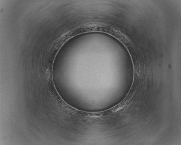 X0000073520821200608211802