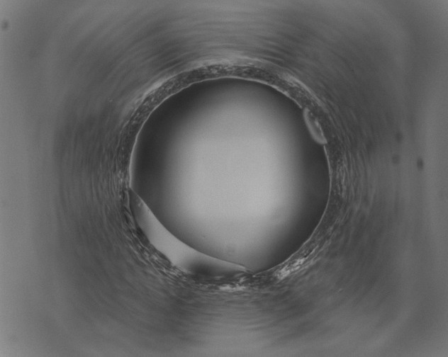 X0000073520822200608211802