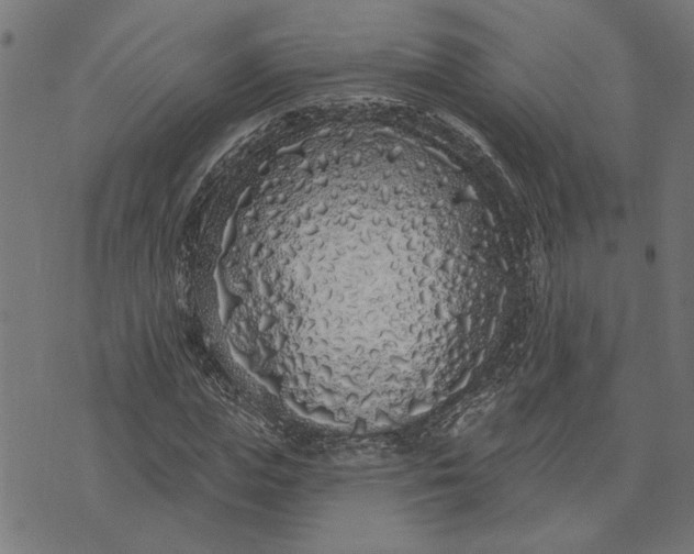 X0000073520823200608211802