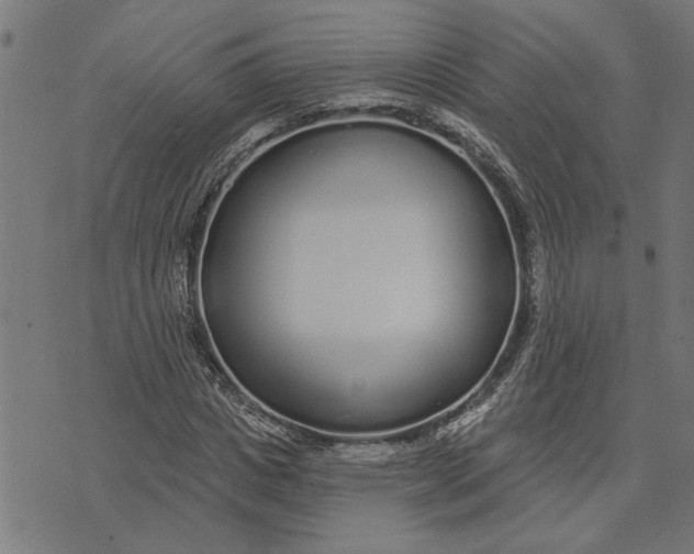 X0000073520825200608211802