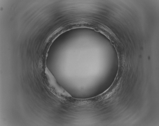 X0000073520826200608211802