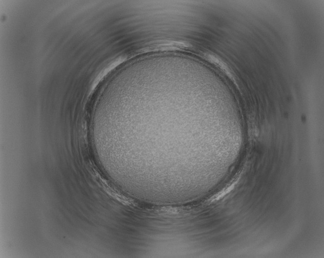 X0000073520827200608211802