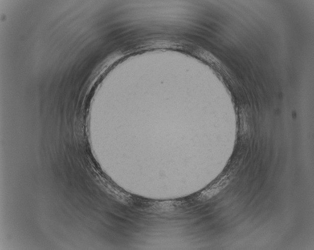 X0000073520828200608211802