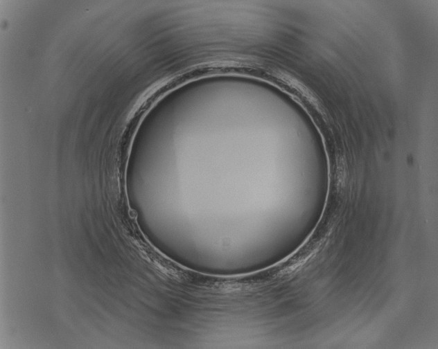 X0000073520829200608211802