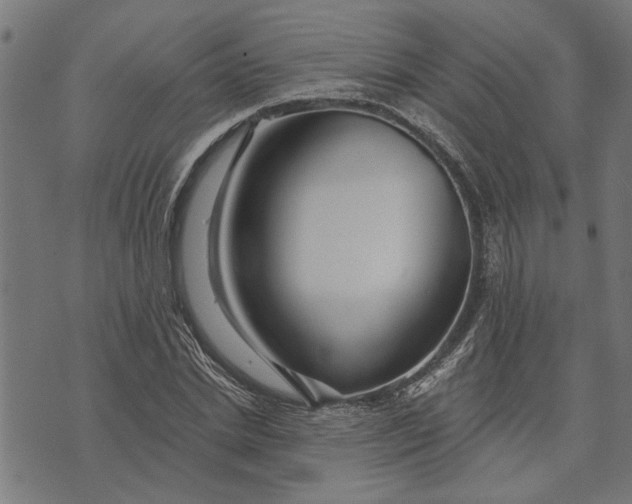 X0000073520830200608211802