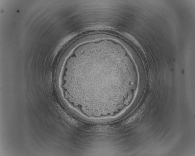 X0000073520831200608211802